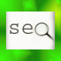 website SEO system for WordPress CMS system