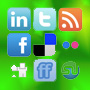 website social media integration tools for WordPress CMS system